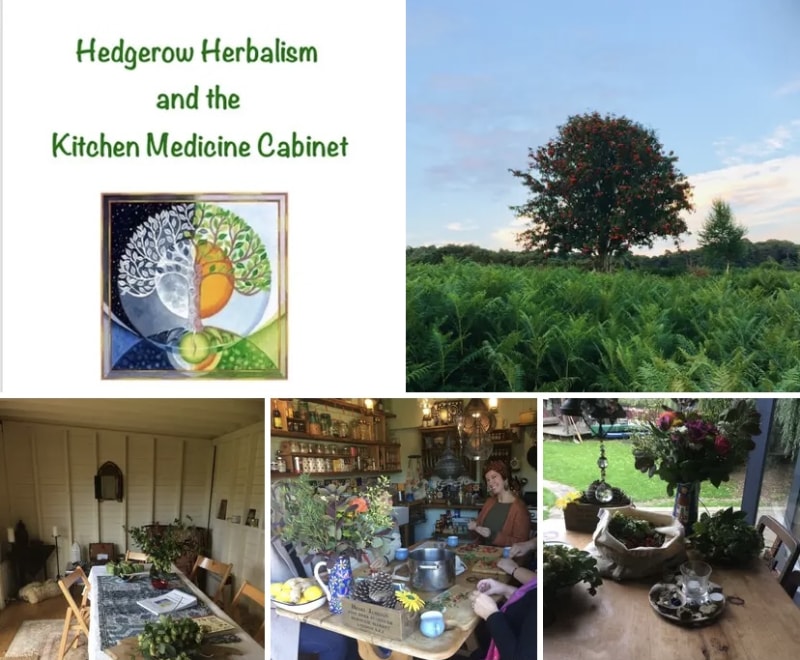 Hedgerow Herbalism with Krista